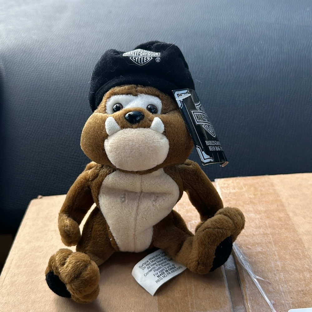 1999 Thunder - Harley Davidson Bulldog